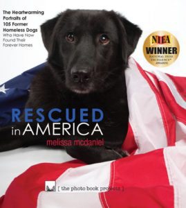 Rescued in America