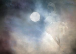 horse-sun-spirit