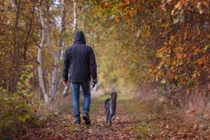 walk stress relief