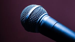 microphone