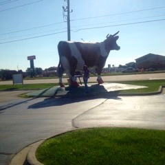 This cow is a landmark in my hometown of Janesville, Wisconsin.