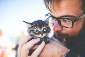 Kitten Man Glasses