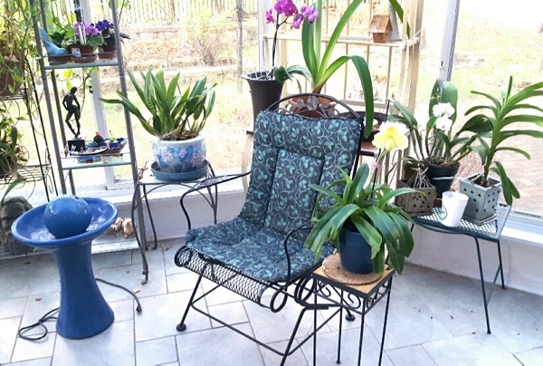 This is my sunroom writing spot. My orchids keep me company.