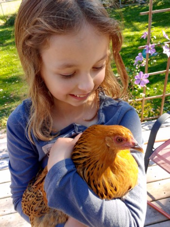Violet, with one of our hens, Hazel.
