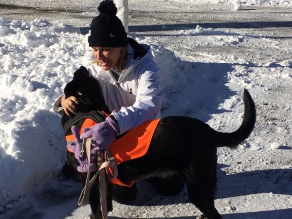 Even when I’m down, Gabby the dog loves winter!