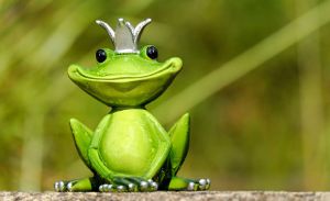 frog-king